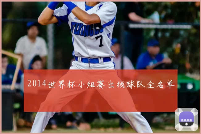 2014世界杯小组赛出线球队全名单