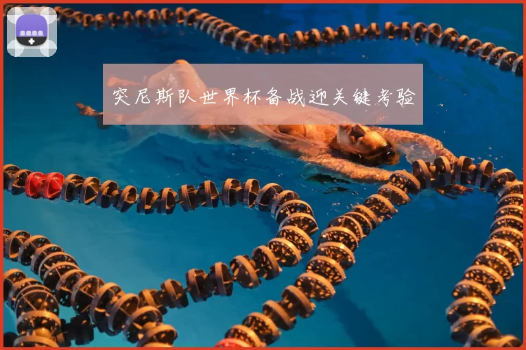 突尼斯队世界杯备战迎关键考验