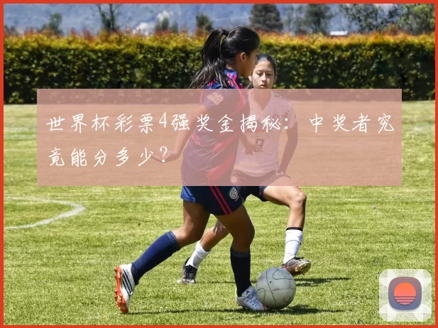 世界杯彩票4强奖金揭秘：中奖者究竟能分多少？