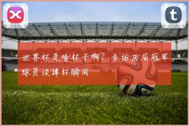 世界杯是啥杯子啊？专访历届冠军球员谈捧杯瞬间