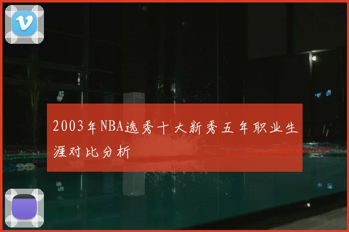2003年NBA选秀十大新秀五年职业生涯对比分析