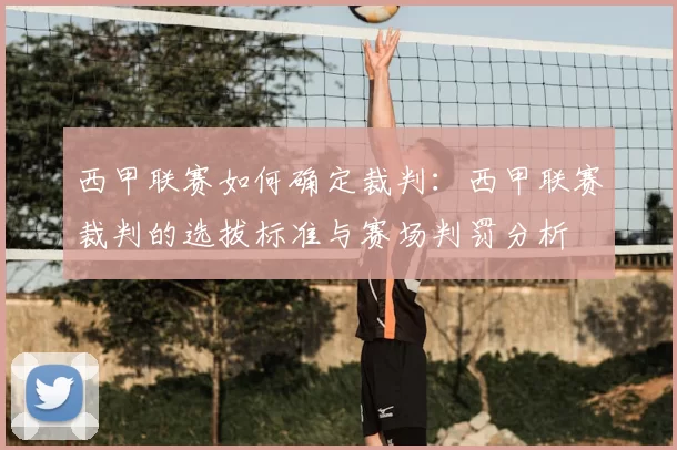 西甲联赛如何确定裁判：西甲联赛裁判的选拔标准与赛场判罚分析