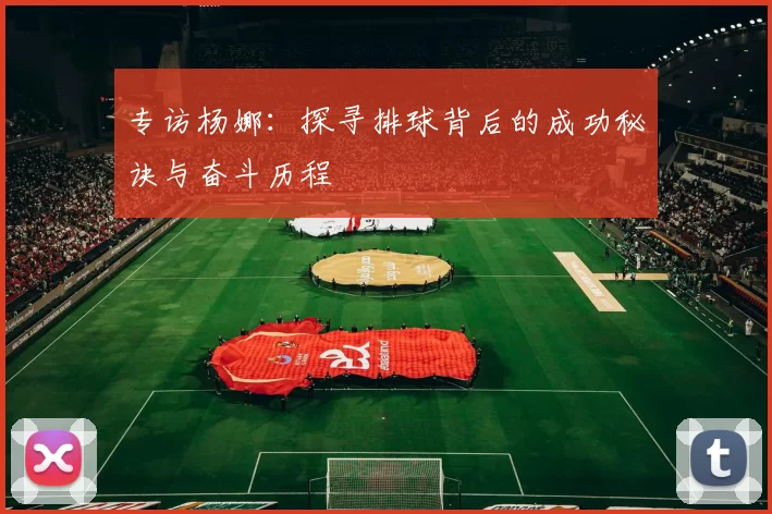 专访杨娜：探寻排球背后的成功秘诀与奋斗历程