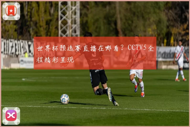 世界杯预选赛直播在哪看?CCTV5全程精彩呈现