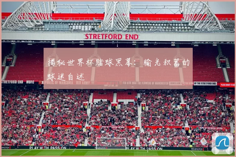 揭秘世界杯赌球黑幕：输光积蓄的球迷自述
