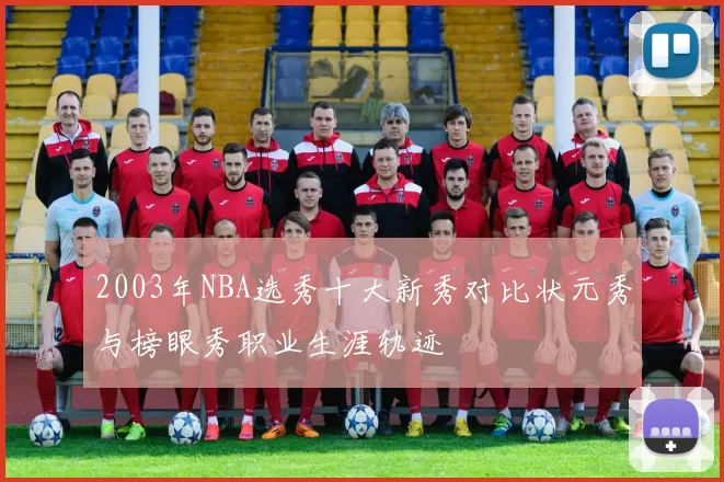 2003年NBA选秀十大新秀对比状元秀与榜眼秀职业生涯轨迹