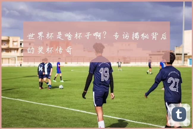 世界杯是啥杯子啊？专访揭秘背后的奖杯传奇