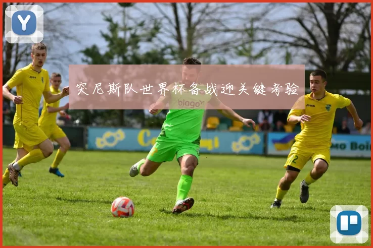 突尼斯队世界杯备战迎关键考验