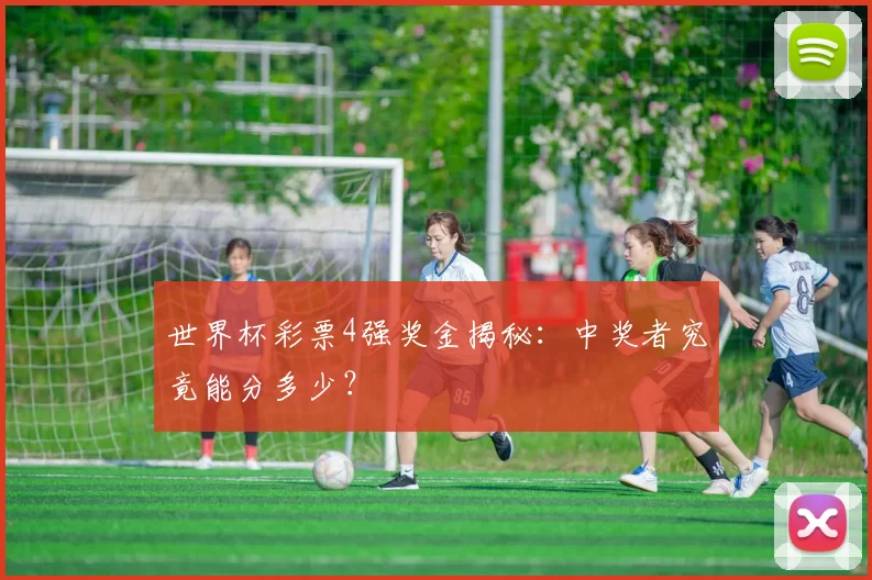 世界杯彩票4强奖金揭秘：中奖者究竟能分多少？