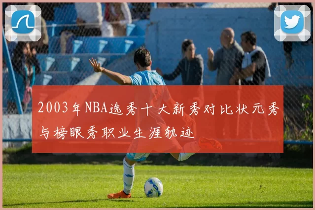 2003年NBA选秀十大新秀对比状元秀与榜眼秀职业生涯轨迹