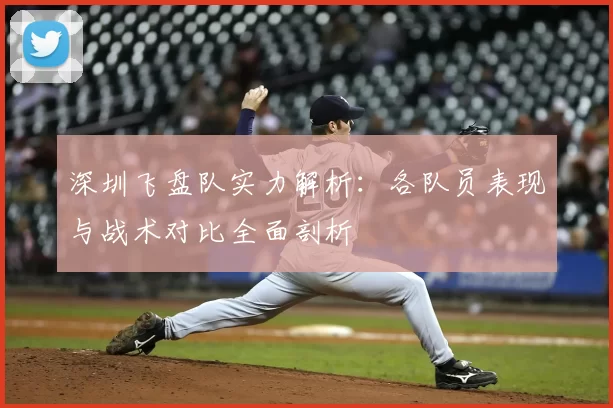深圳飞盘队实力解析：各队员表现与战术对比全面剖析