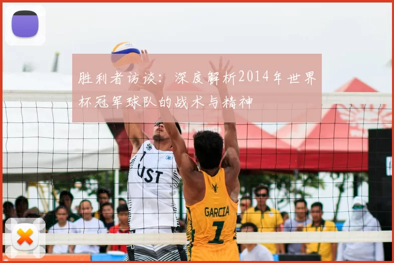 胜利者访谈:深度解析2014年世界杯冠军球队的战术与精神