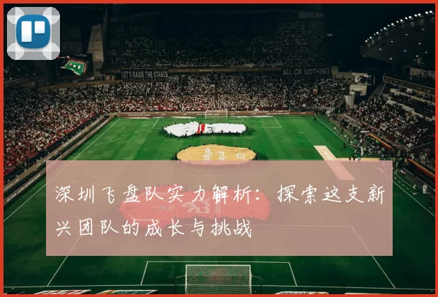 深圳飞盘队实力解析：探索这支新兴团队的成长与挑战