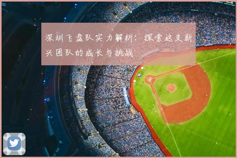 深圳飞盘队实力解析：探索这支新兴团队的成长与挑战
